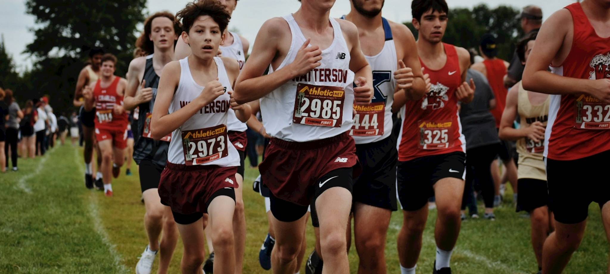 必赢体育app介绍